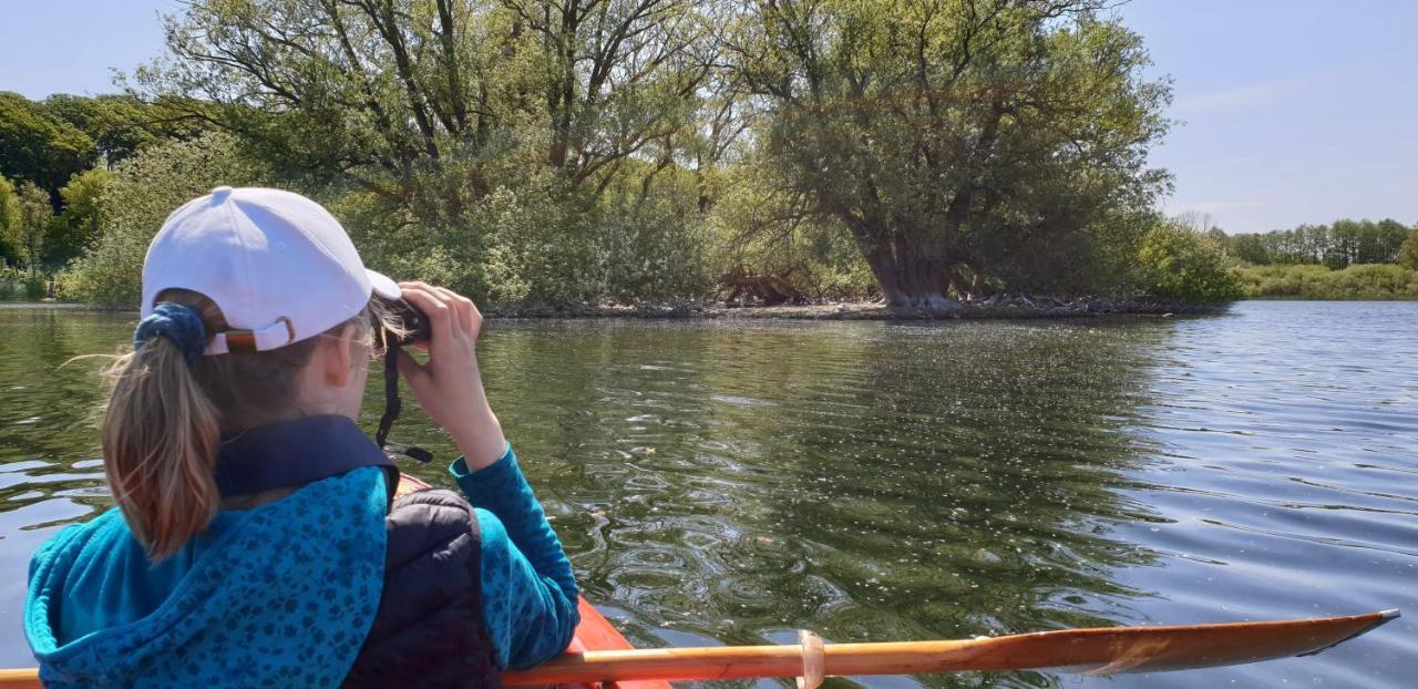 Ferienwohnungen Am Schwanensee Plön Exterior foto